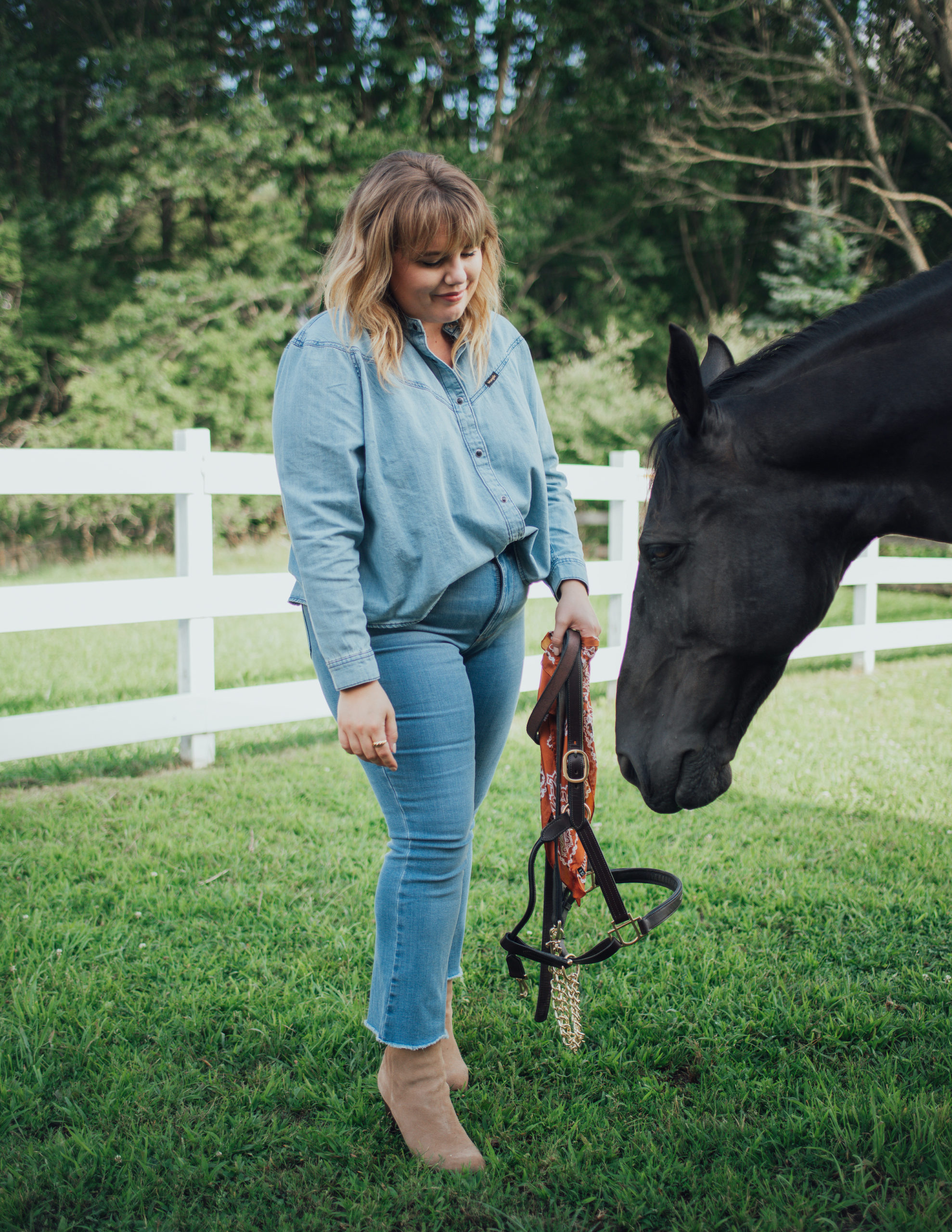 Plus size denim by Wrangler part of the new lady Wrangler collection! Sharing some special photos of my horses and some FAB jeans! 